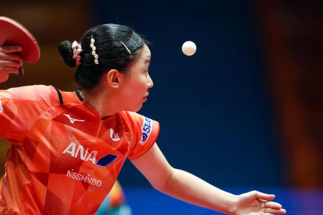 他们已经做 他们已经做