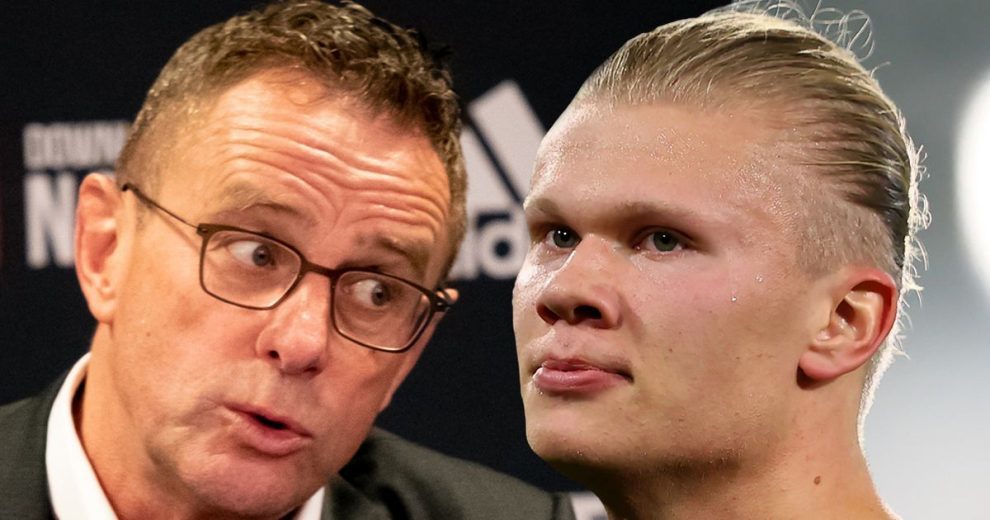 也能促进内 也能促进内